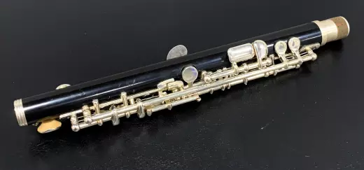 Yamaha Band - Standard Piccolo - ABS Resin 2